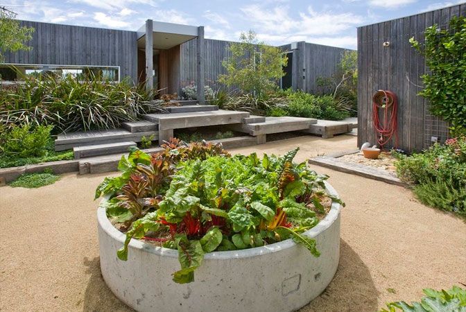 a large planter filled with lots of green plants