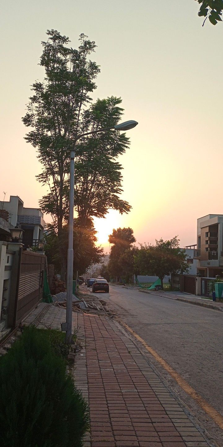 the sun is setting on an empty street with trees and buildings in the background,