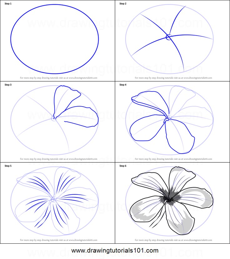 how to draw a four leaf clover step by step drawing instructions for kids and adults