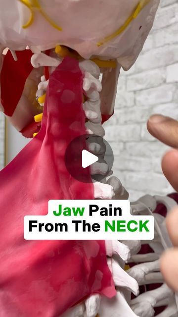 What To Do When You Have A Headache, Neck Release, Jaw Tightness Relief, Jaw Alignment Exercises, How To Relax Jaw Muscles, Tmj Exercises, Jaw Tension Relief Massage, Tension Migraine, Tmj Relief Remedies