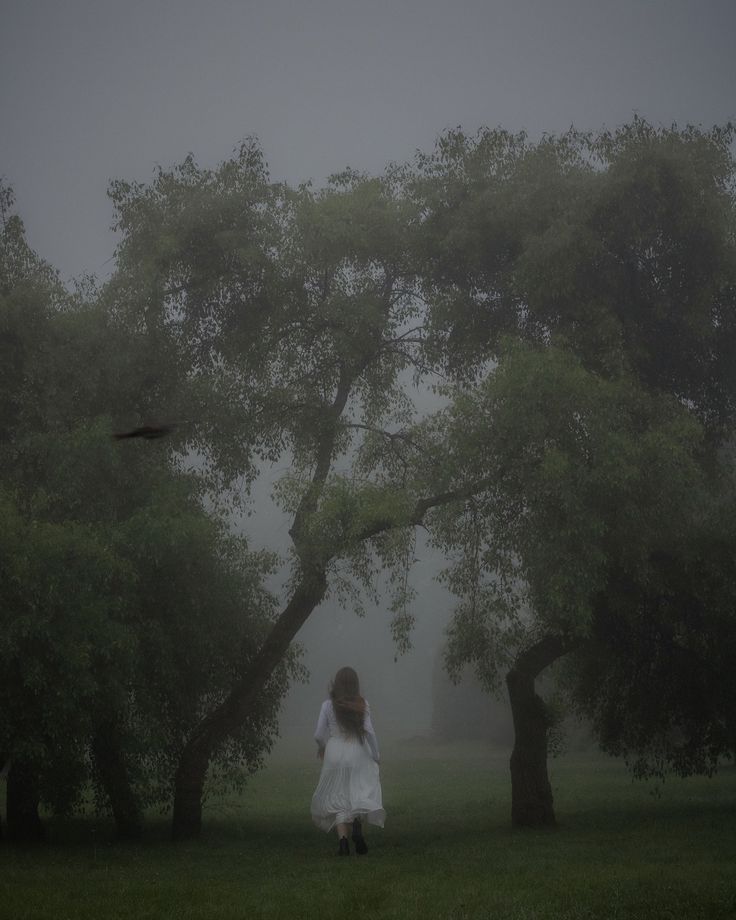 a woman is walking through the foggy park