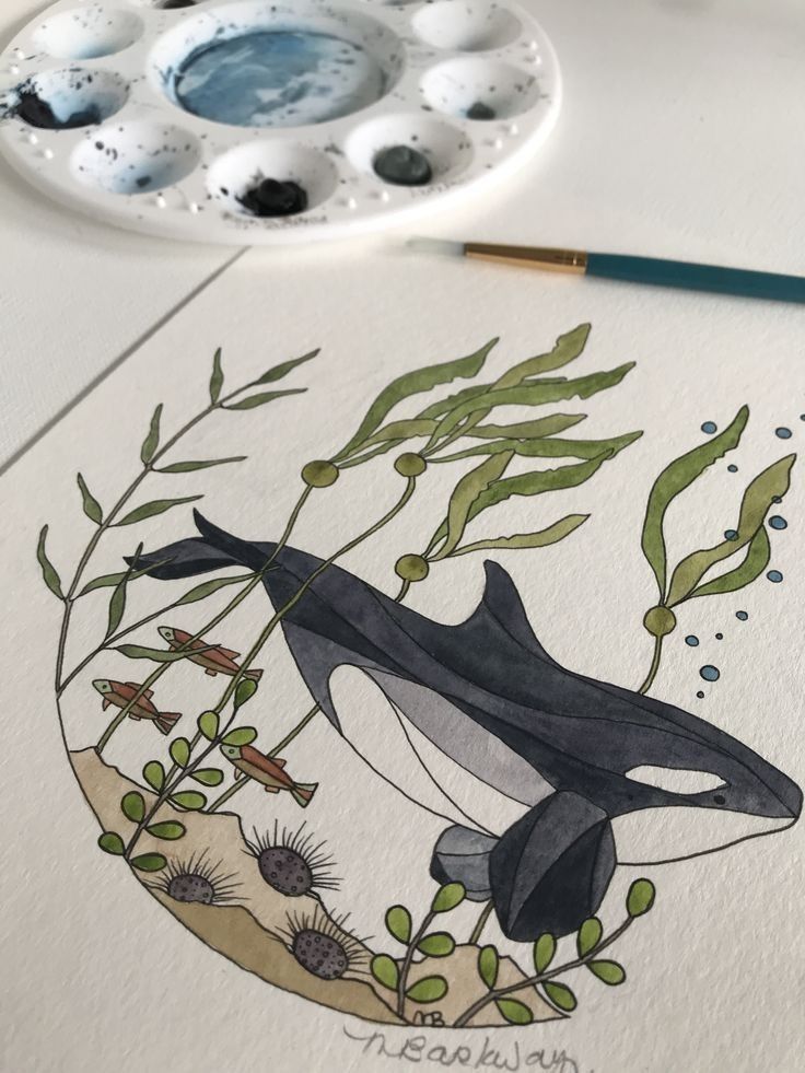 an orca whale in the water surrounded by plants and seaweed with a paintbrush next to it