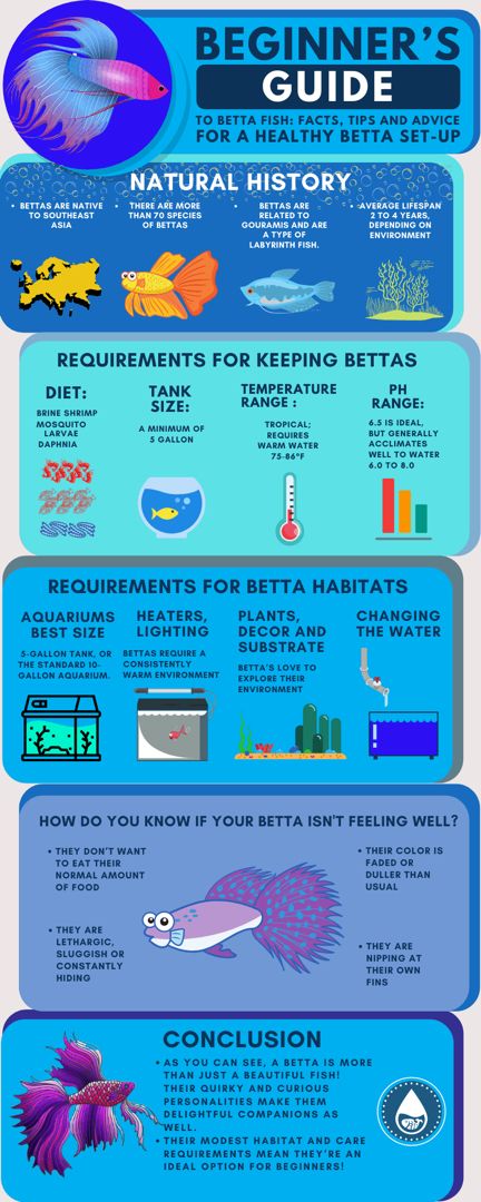 an info poster showing the different types of aquariums and how they are used to study them