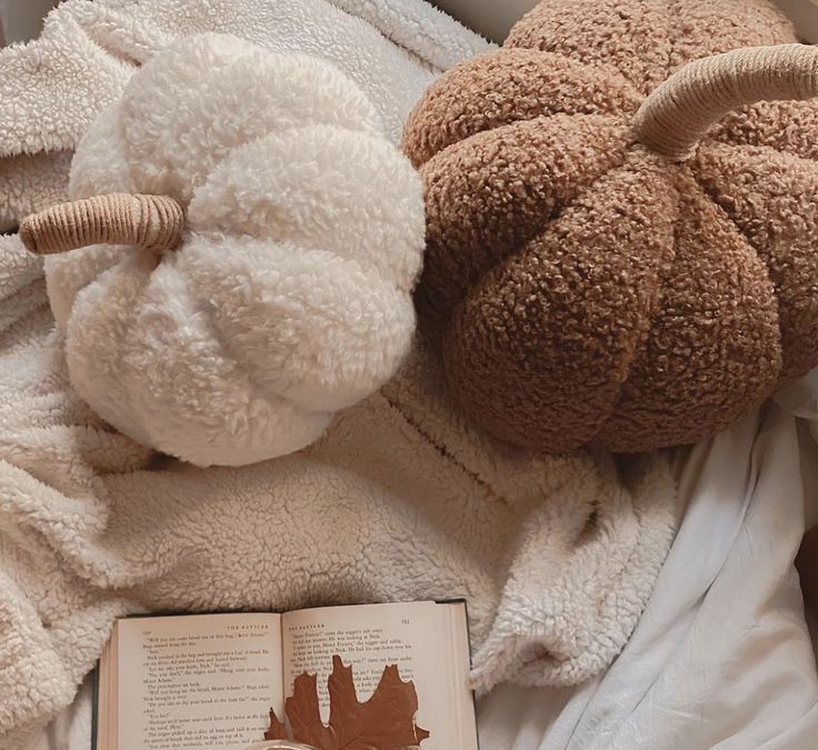 an open book and two stuffed animals laying on top of a bed next to each other