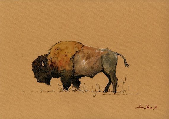 a drawing of a bison standing in the grass