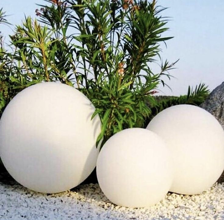 three white balls sitting next to each other in front of plants and rocks on the ground