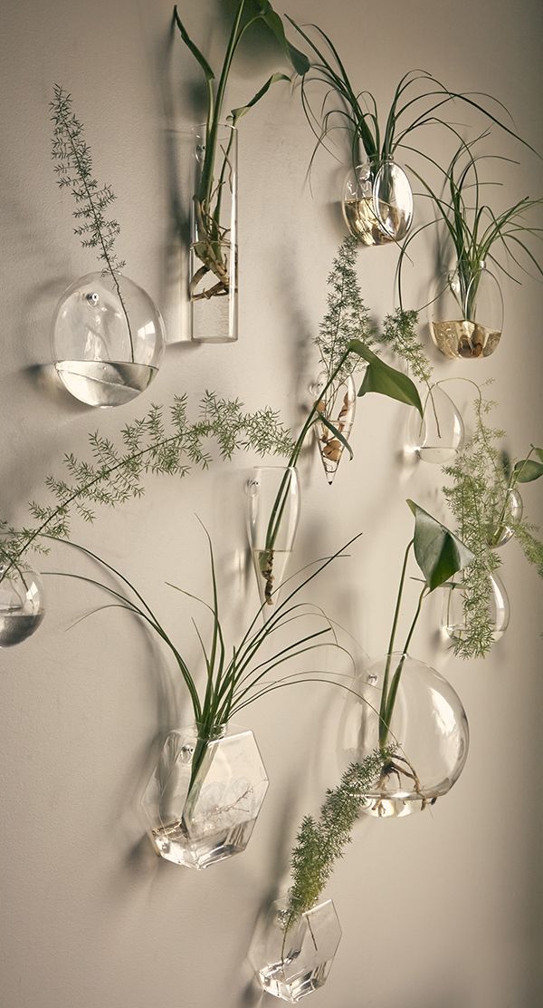 several vases with plants in them are hanging on the wall next to each other