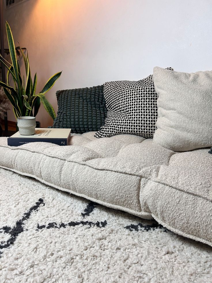 a living room with a couch, rug and potted plant