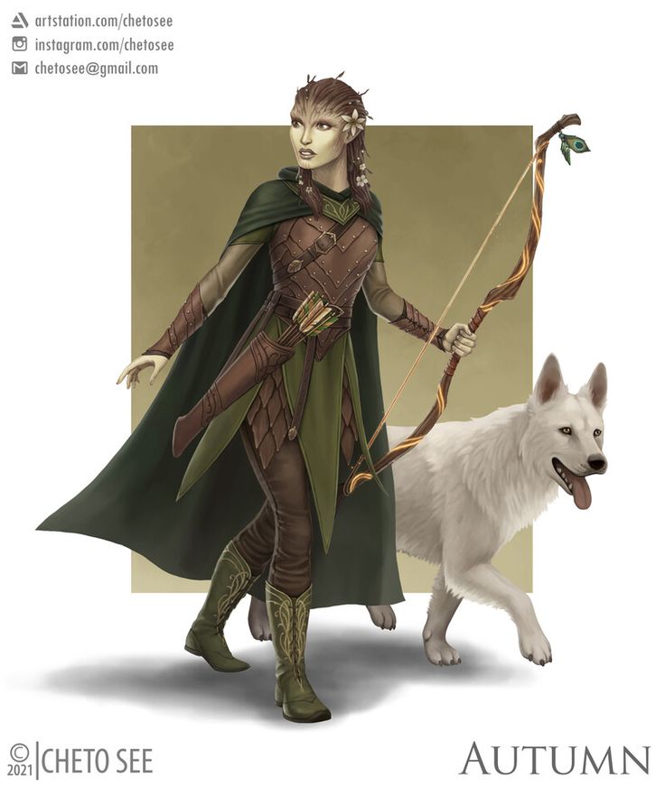 an image of a woman with a bow and arrow in her hand next to a white dog