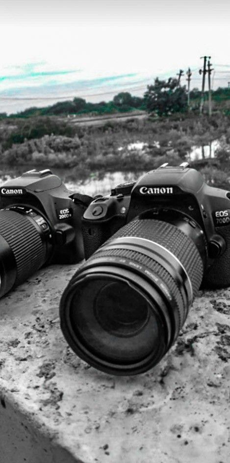 three cameras sitting on top of a cement wall