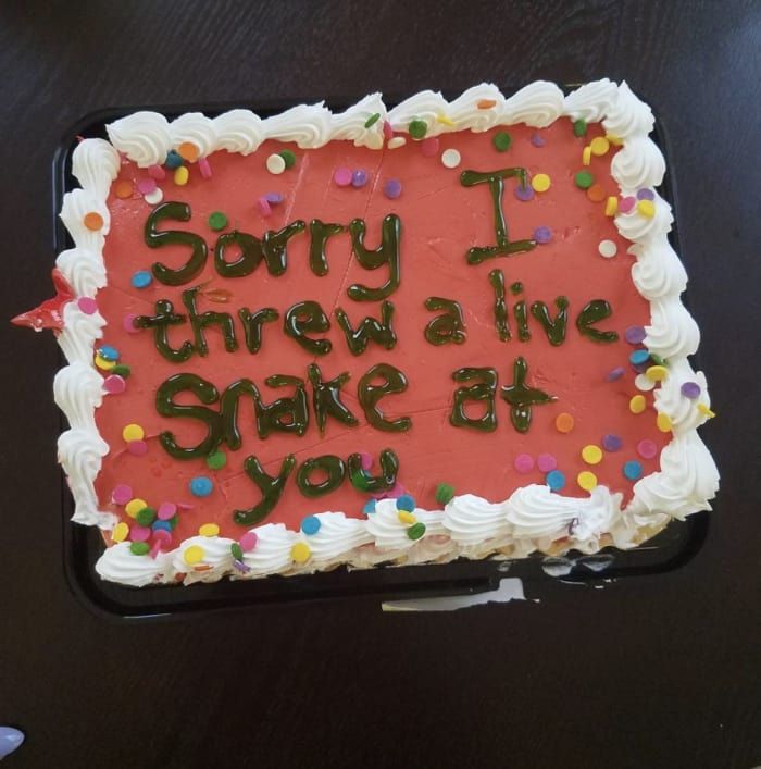 a birthday cake with the words sorry i threw a live snake at you on it