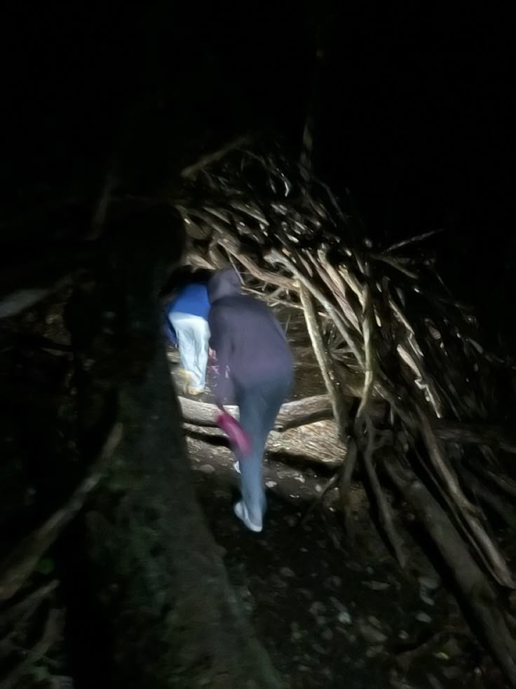 a person walking through the woods at night