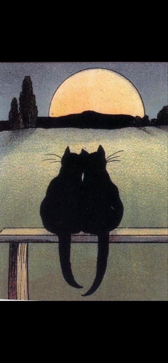 two cats are sitting on a bench in front of the water at night, one has its head over the other's shoulder