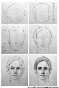 the steps to draw a woman's face