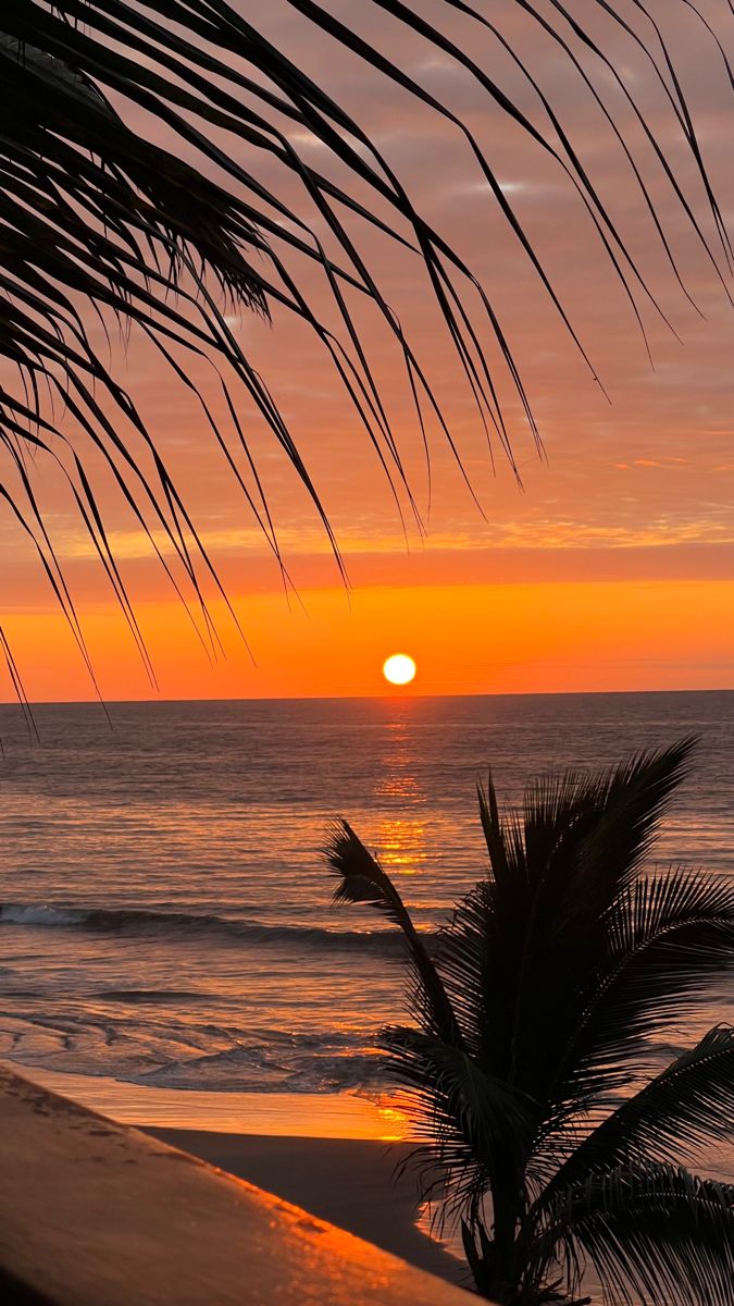 the sun is setting over the ocean with palm trees