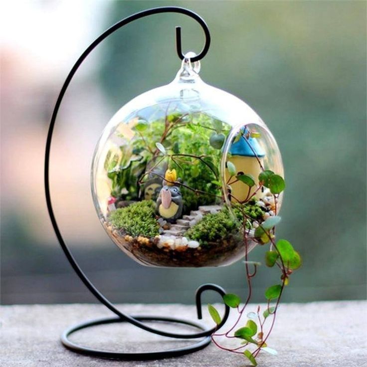 a glass ornament filled with plants on top of a table