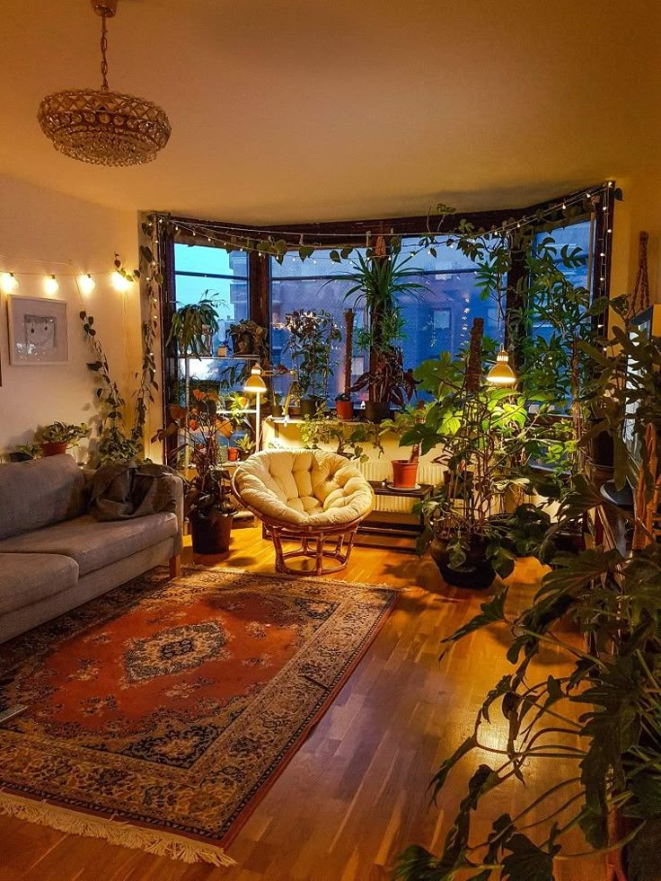 a living room filled with furniture and lots of plants on the windows sills