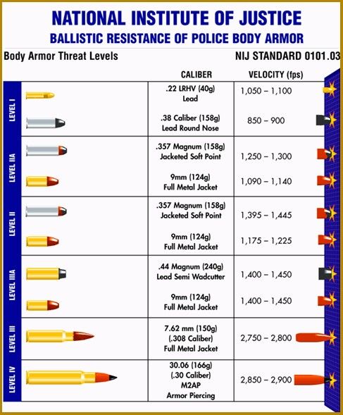 Body Armor Levels Full Metal Jacket, 357 Magnum, Police Gear, Bullet Proof Vest, Finger Lakes, Homeschool Math, Public Safety, Body Armor, Law Enforcement