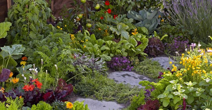 a garden filled with lots of different types of flowers