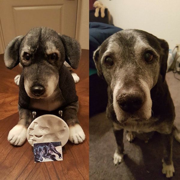 two dogs sitting next to each other on the floor and one is looking at the camera