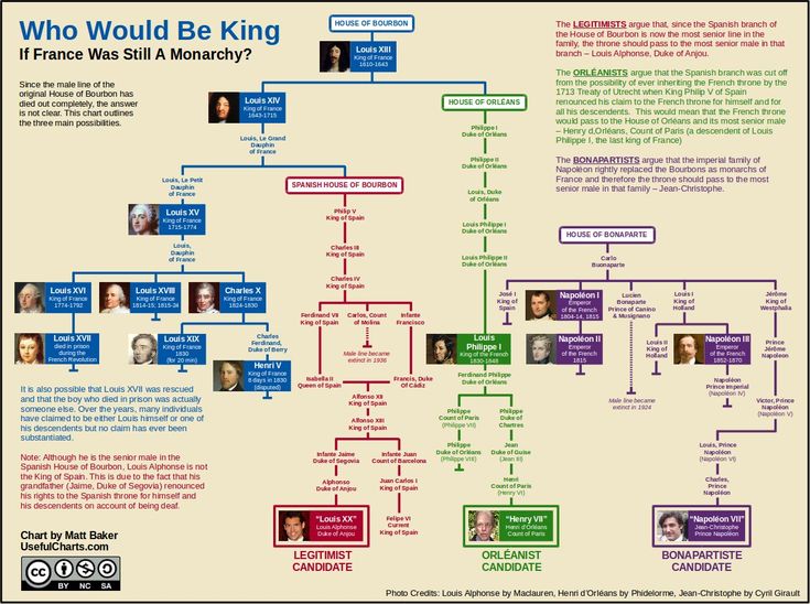 a flow chart with different types of people and words on the bottom half of it