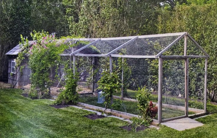 a small greenhouse with plants growing in it