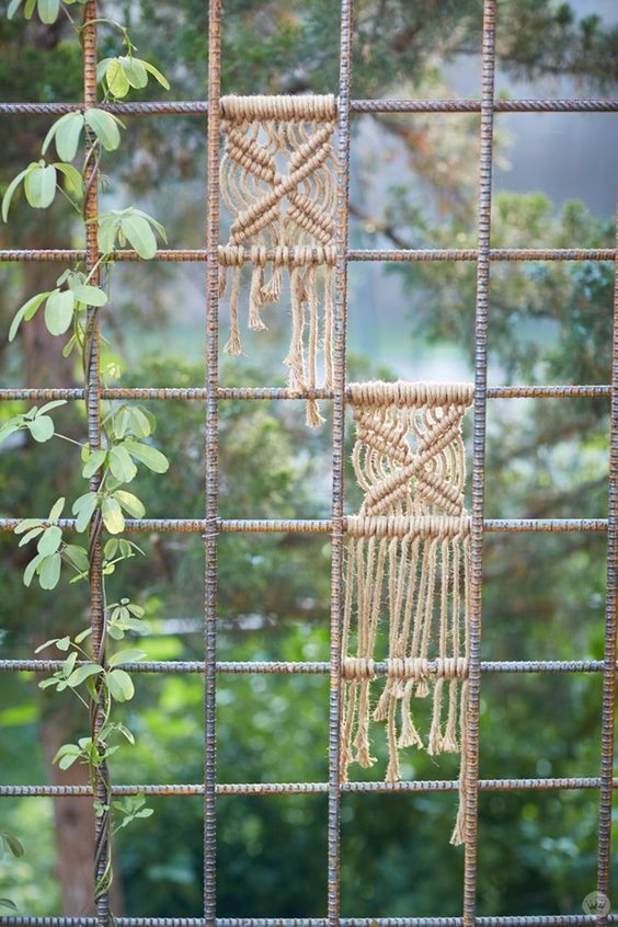 a close up of a window with some plants in the foreground and another plant on the other side