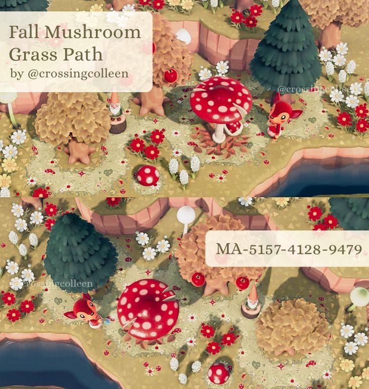 an aerial view of the fall mushroom grass path