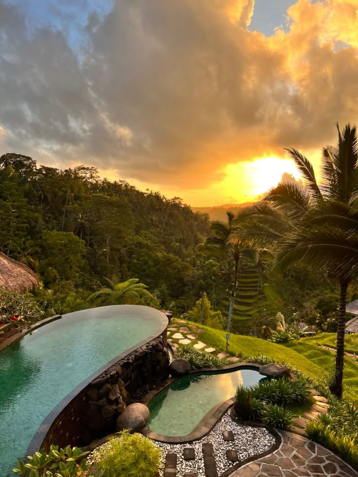 an outdoor swimming pool surrounded by greenery and palm trees with the sun setting in the background