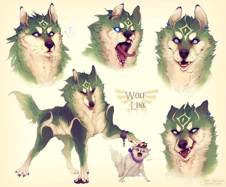 an image of wolfs with different expressions on their face and chestes in various poses