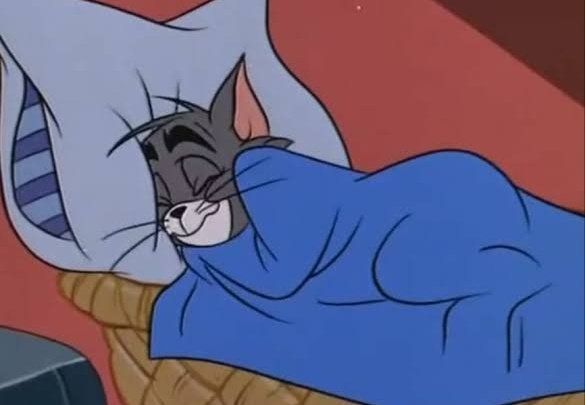 a cartoon cat laying in bed under a blanket