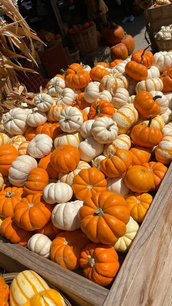 pumpkins and gourds for sale in a wooden box at an outdoor market