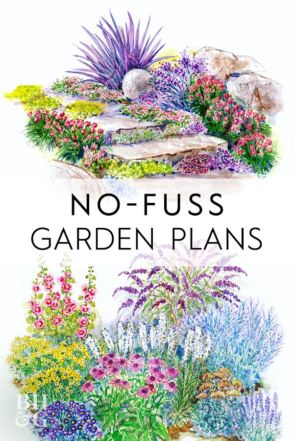 no - fuss garden plans with flowers and rocks