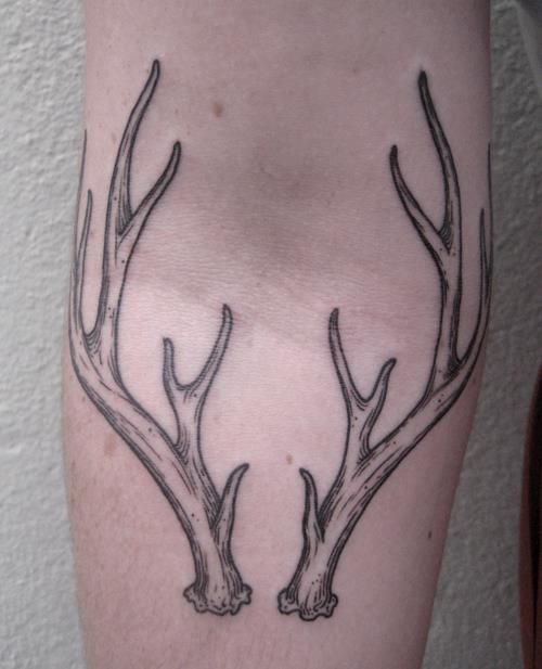 a black and white photo of a deer's antlers on the right thigh