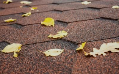 leaves on the roof of a house with brown shingles and yellow leaves all over it