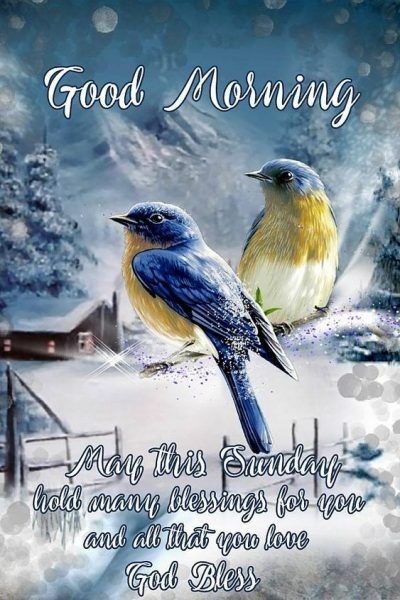 two birds sitting on top of a snow covered ground with the words, good morning