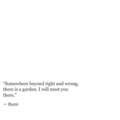 an image of a quote from rumi on the subject of his poem somewhere beyond right and wrong, there is a garden i will meet you there