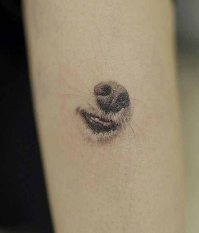 a dog's face is shown on the leg