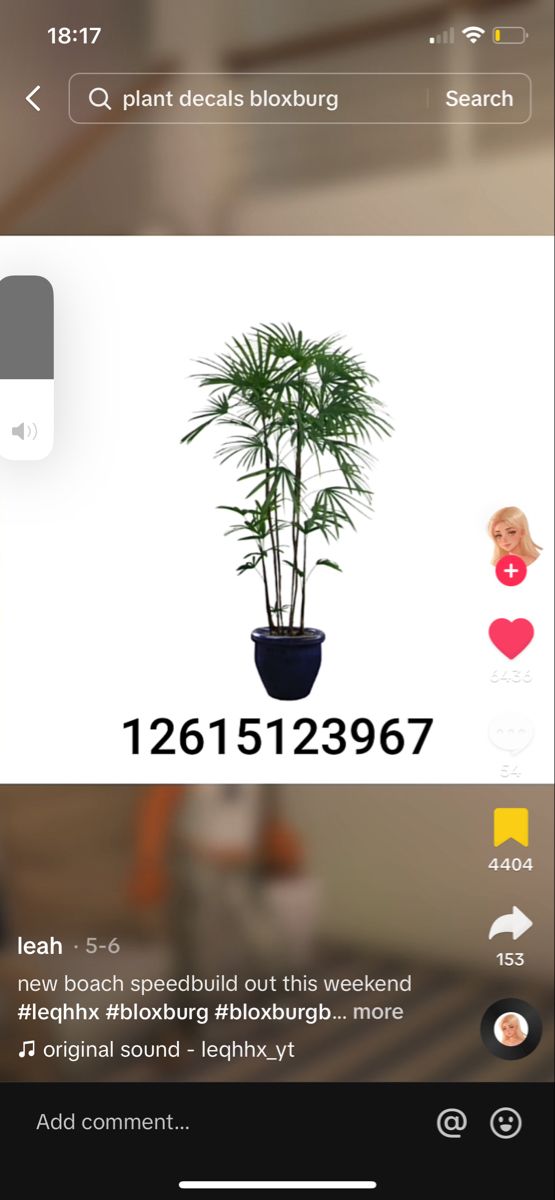 an image of a plant on the phone screen