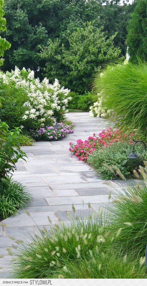 an image of a garden with flowers and plants on the path to the water source