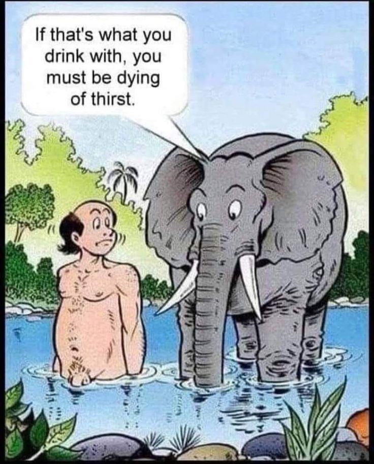 an elephant standing next to a man in the water with a thought bubble above his head