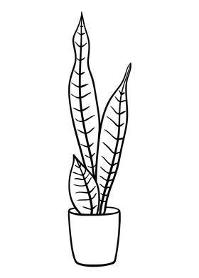 a black and white drawing of a house plant in a pot on a white background