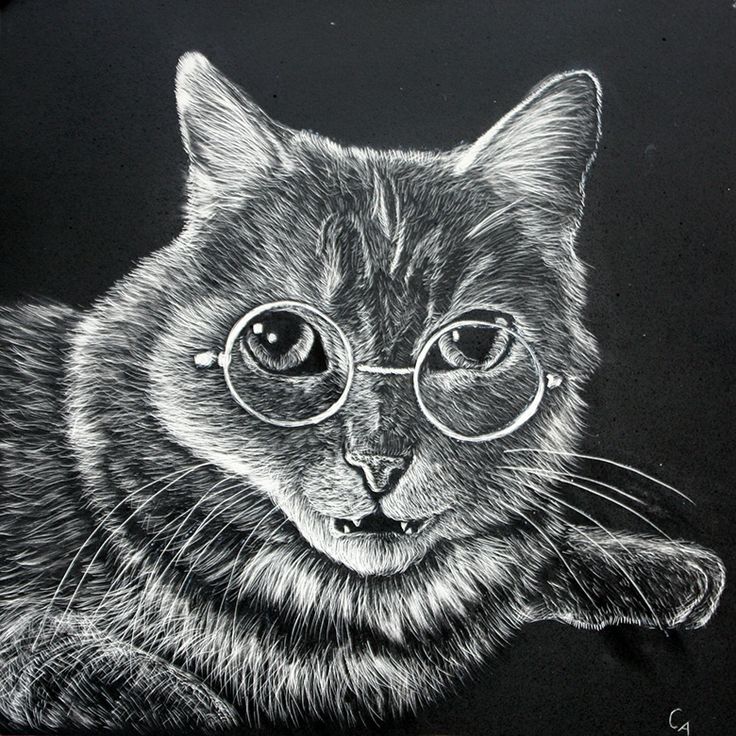 a black and white drawing of a cat with glasses on it's face, looking at the camera