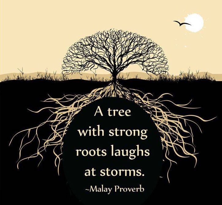 a tree with strong roots laughs at storms