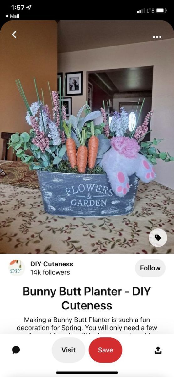 an image of a planter with carrots and flowers in it on the phone