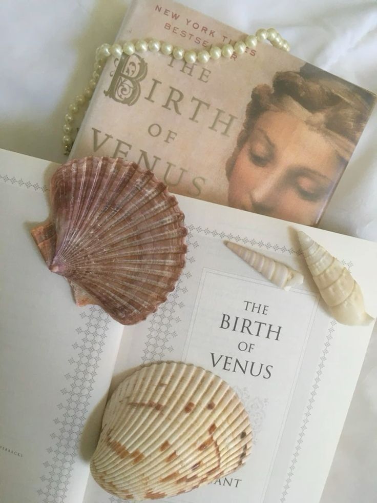 the birth of venus book and seashells on a bed