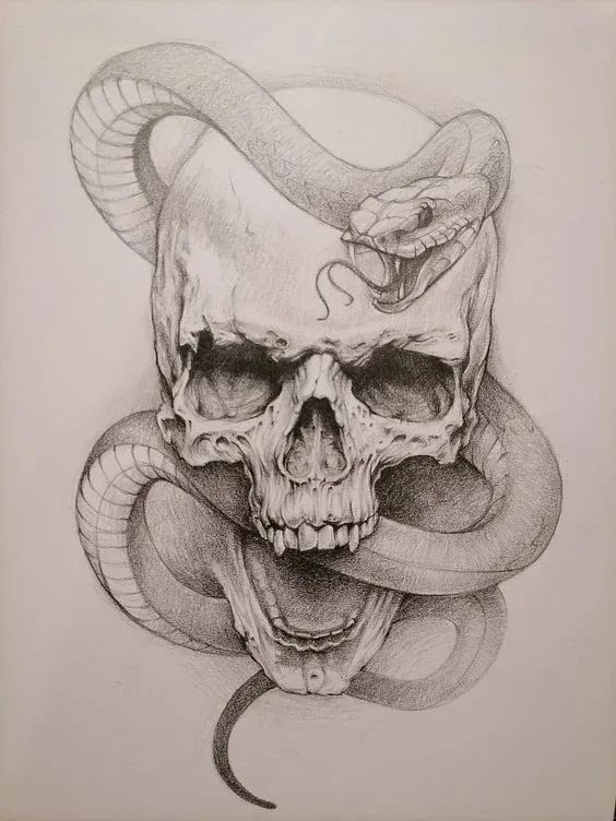 a pencil drawing of a skull with a snake wrapped around it's neck and head