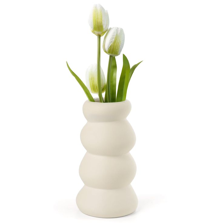 three tulips in a white vase on a white background