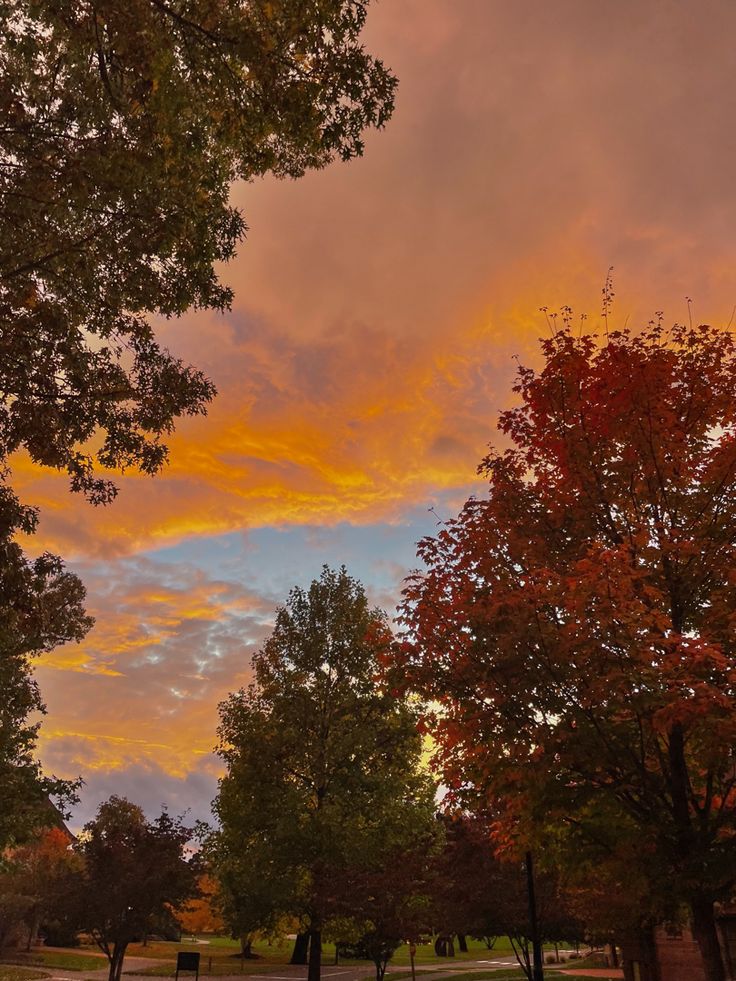 an orange and yellow sunset over a park with trees in the foreground, on a cloudy day