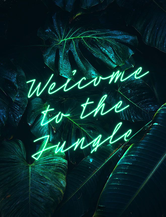 a neon sign with the words welcome to the jungle written on it in front of green leaves